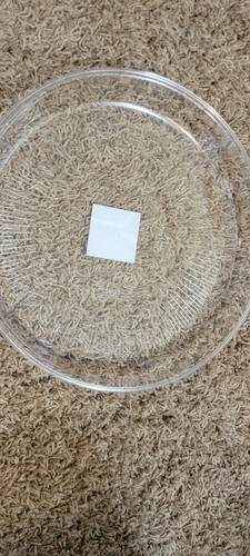 Round serving tray - serving, plastic